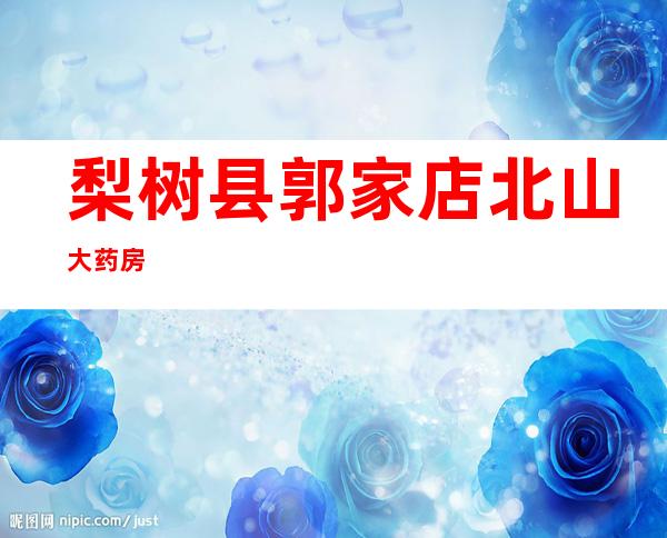 梨树县郭家店北山大药房